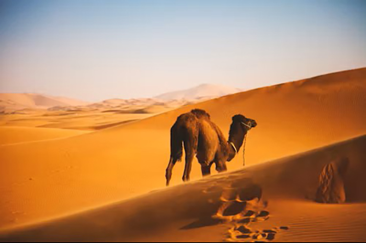 photos tourisme maroc